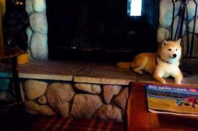 华体会网址-苦等87分钟英雄却失灵！基米希低级失误葬送全队，爱尔兰闪电绝杀提前终结悬念