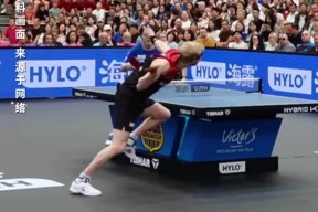 华体会网址-日本乒乓球队横扫德国乒乓球队,波尔打破历史纪录的简单介绍