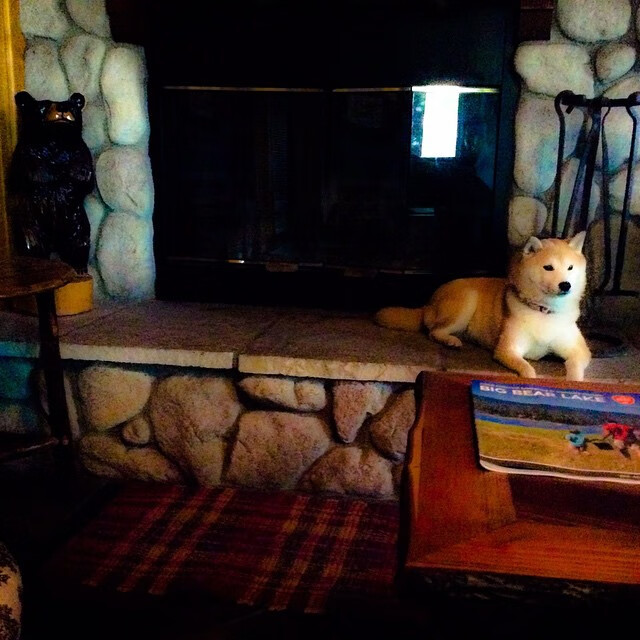 华体会网址-苦等87分钟英雄却失灵！基米希低级失误葬送全队，爱尔兰闪电绝杀提前终结悬念  第1张