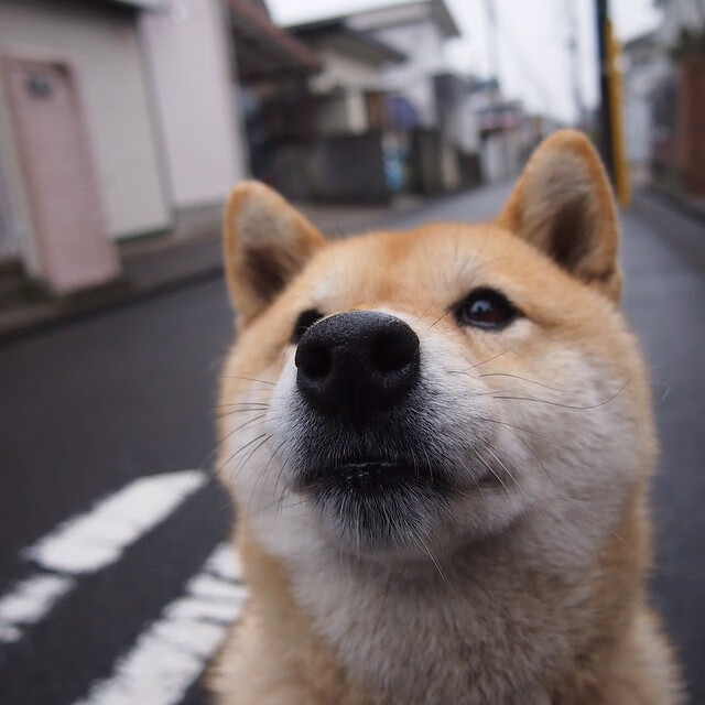 华体会体育-几内亚的电话，比罗马德比更早终结了悬念  第2张