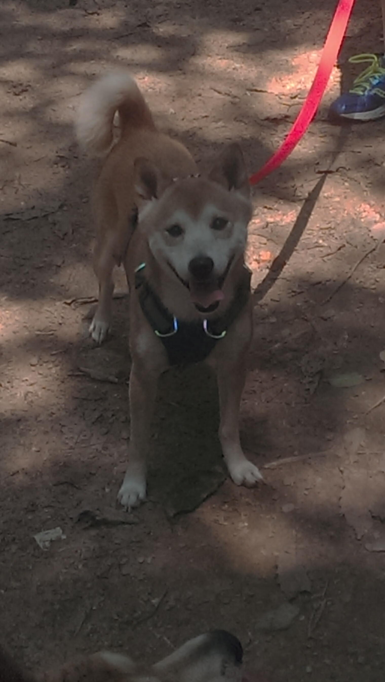 华体会-压哨绝杀!广东队惊险逆转北京队,外援詹姆斯末节爆发成关键先生 第2张 华体会-压哨绝杀!广东队惊险逆转北京队,外援詹姆斯末节爆发成关键先生 第2张