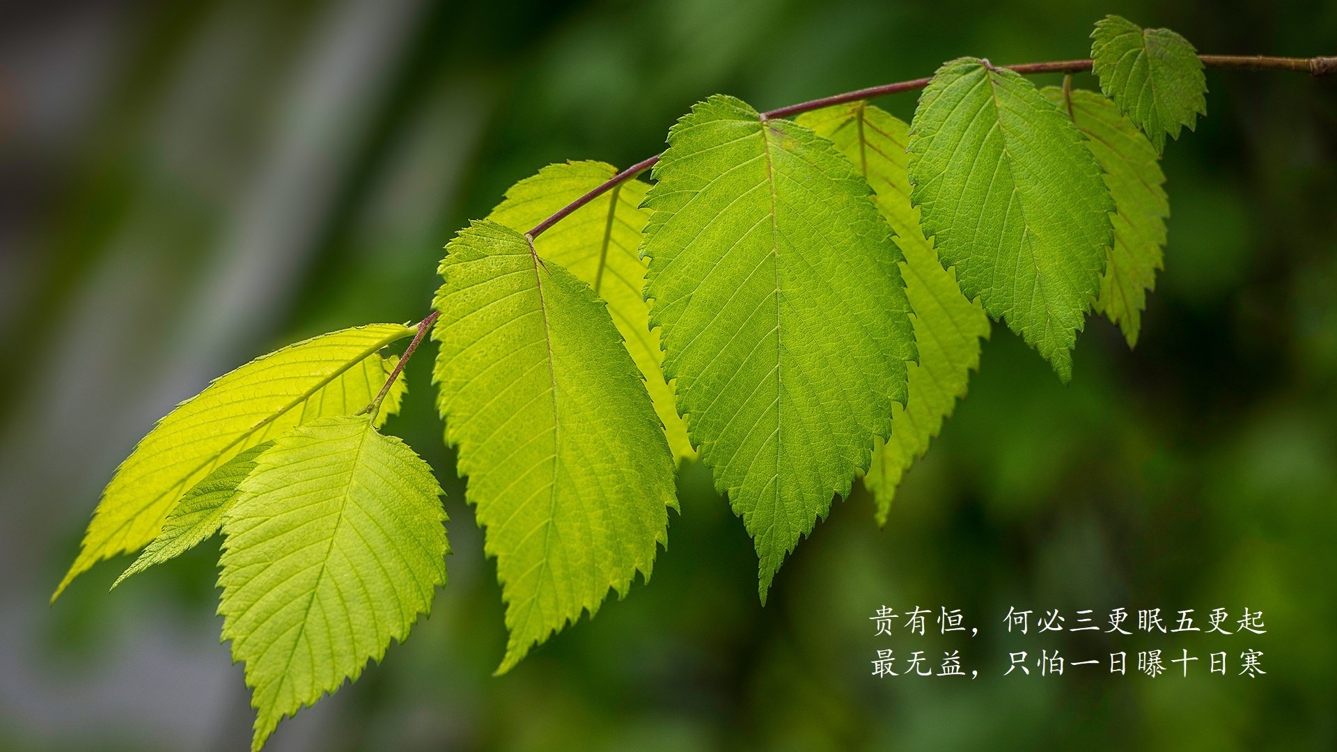 华体会hth-32秒的永恒，2026世界杯黑马之战，莫德里奇用最后一舞为乌拉圭写下绝杀剧本  第1张